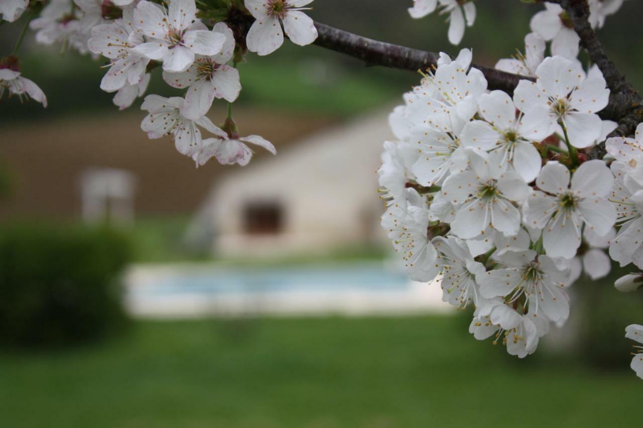 Gîtes Grand Pré ! et la Roulotte de Roquecor Exterior foto