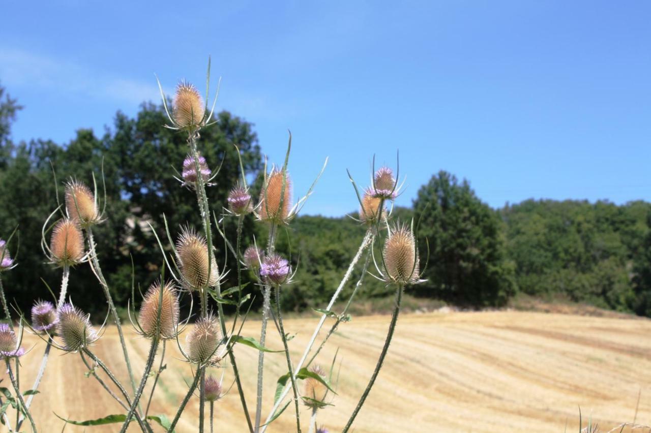 Gîtes Grand Pré ! et la Roulotte de Roquecor Exterior foto