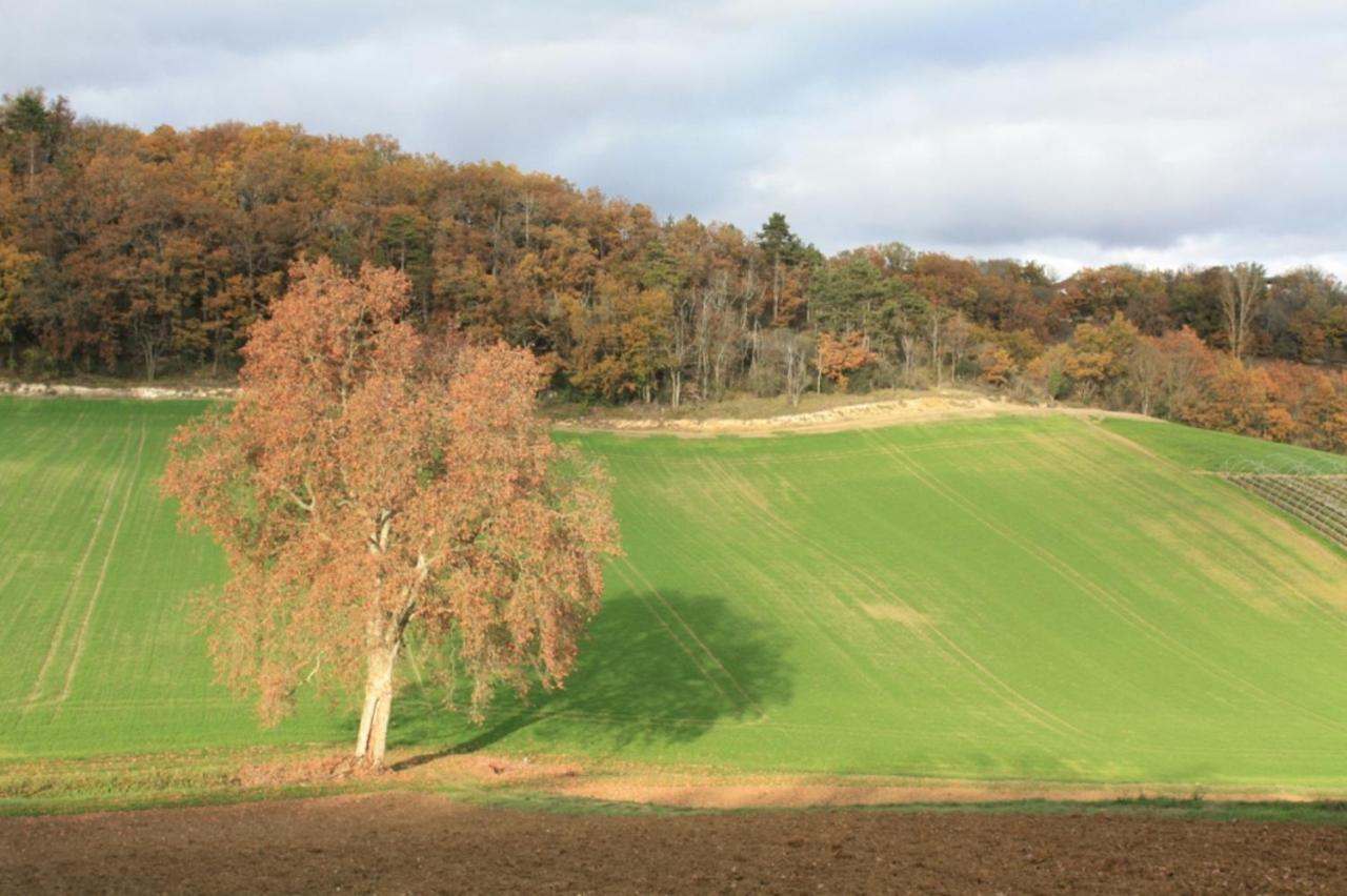 Gîtes Grand Pré ! et la Roulotte de Roquecor Exterior foto